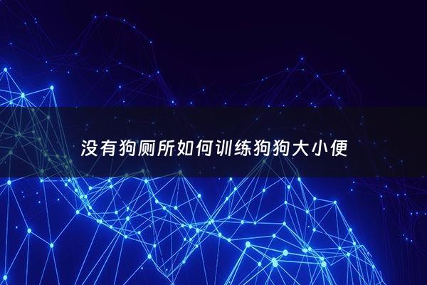 没有狗厕所如何训练狗狗大小便 - 家里没有狗尿垫怎么办