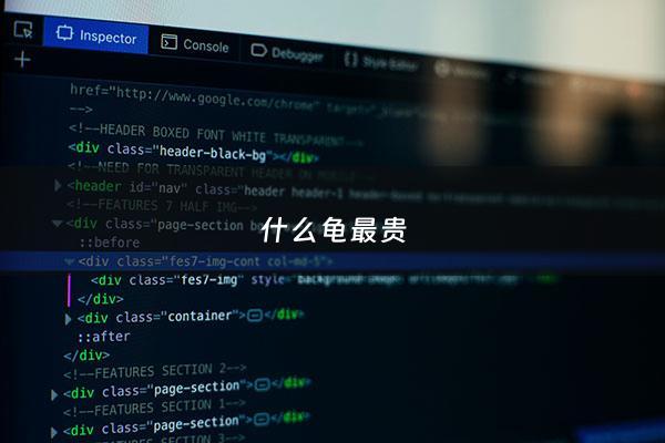 什么龟最贵 - 什么龟最贵?