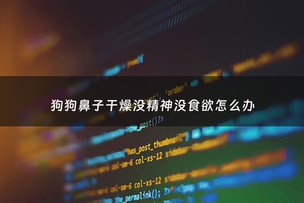 狗狗鼻子干燥没精神没食欲怎么办 - 狗狗鼻子干没精神是怎么回事