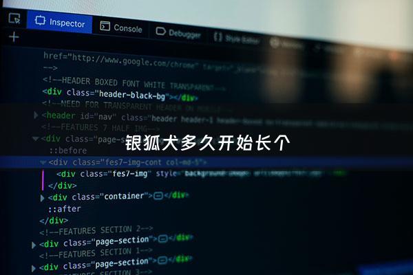 银狐犬多久开始长个 - 银狐犬几个月毛才定型