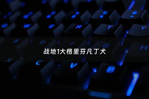 战地1大格里芬凡丁犬 - 战地1凡尔登彩蛋