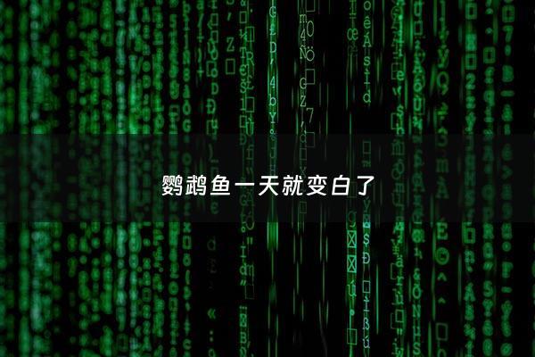 鹦鹉鱼一天就变白了 - 鹦鹉鱼一天就变白了正常吗