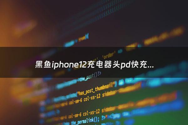 黑鱼iphone12充电器头pd快充20w - iphone12w充电头评测