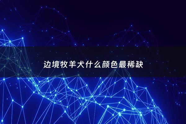 边境牧羊犬什么颜色最稀缺 - 边境牧羊犬什么颜色最稀缺呢