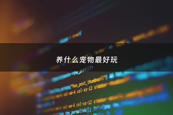 养什么宠物最好玩 - 养什么宠物比较方便