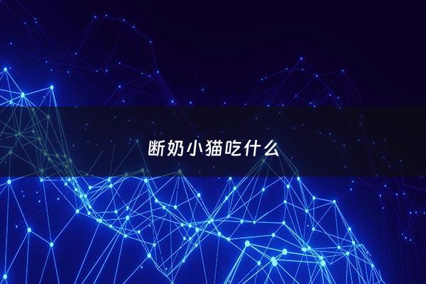 断奶小猫吃什么 - 断奶小猫吃什么品牌的猫粮