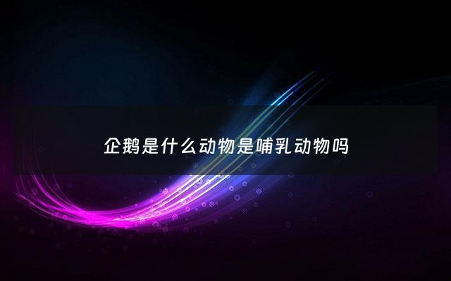 企鹅是什么动物是哺乳动物吗 - 企鹅是哺乳动物还是什么动物