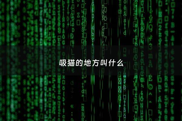 吸猫的地方叫什么 - 吸猫是干啥的