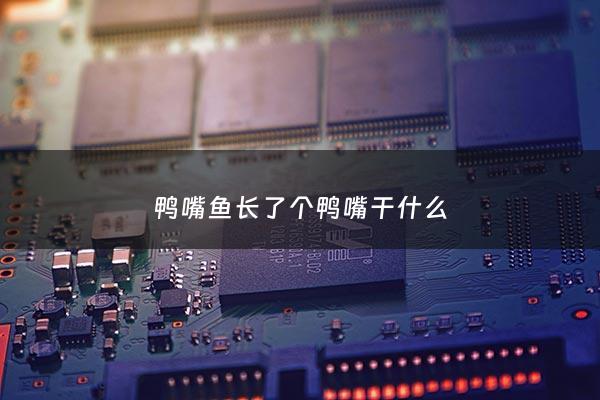 鸭嘴鱼长了个鸭嘴干什么 - 鸭嘴鱼有小刺吗