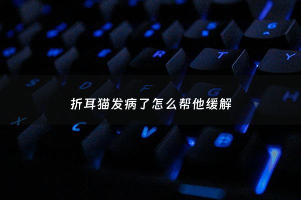 折耳猫发病了怎么帮他缓解 - 折耳猫发病了怎么帮他缓解症状
