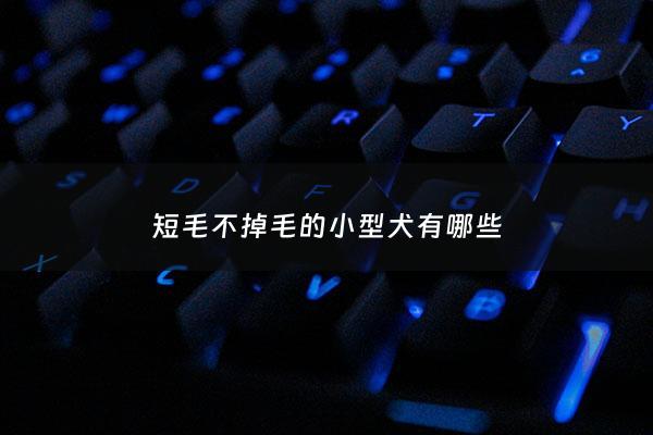 短毛不掉毛的小型犬有哪些 - 不易脱毛的短毛小型犬