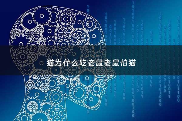 猫为什么吃老鼠老鼠怕猫 - 为什么猫吃老鼠呀