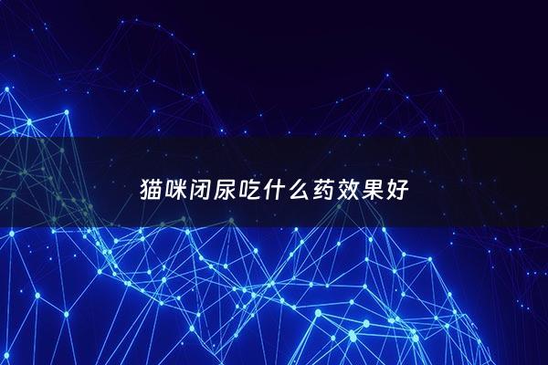 猫咪闭尿吃什么药效果好 - 猫咪闭尿吃什么猫粮