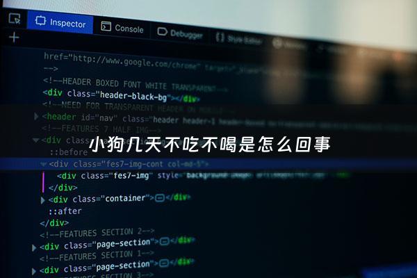 小狗几天不吃不喝是怎么回事 - 小狗几天不吃东西是怎么回事