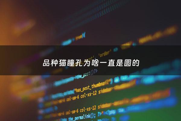 品种猫瞳孔为啥一直是圆的 - 为什么有的猫咪瞳孔一直很大