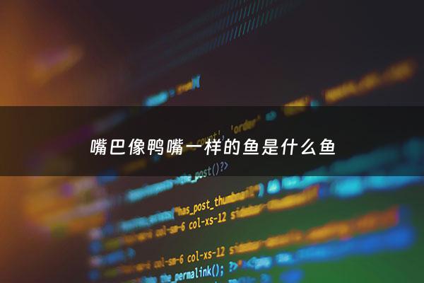 嘴巴像鸭嘴一样的鱼是什么鱼 - 嘴巴像鸭嘴一样的鱼是什么鱼图片