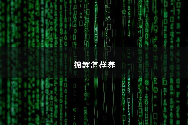 锦鲤怎样养 - 锦鲤怎样养又圆又胖