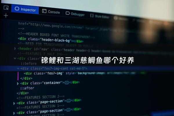 锦鲤和三湖慈鲷鱼哪个好养 - 锦鲤慈鲷混养