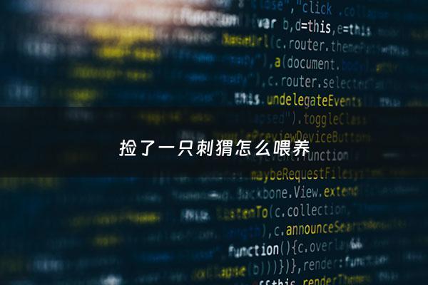 捡了一只刺猬怎么喂养 - 捡了刺猬犯法吗