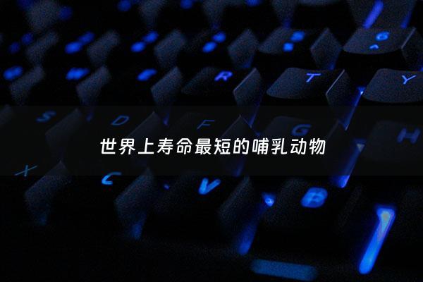 世界上寿命最短的哺乳动物 - 寿命最短的哺乳类动物