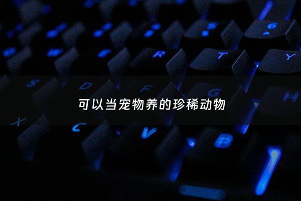 可以当宠物养的珍稀动物 - 能当宠物养的动物