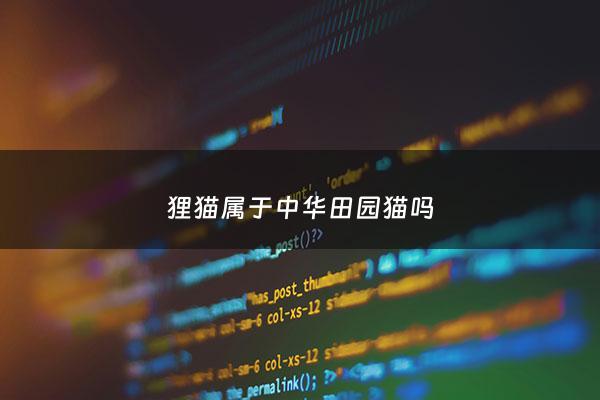 狸猫属于中华田园猫吗 - 狸猫是宠物猫还是土猫?