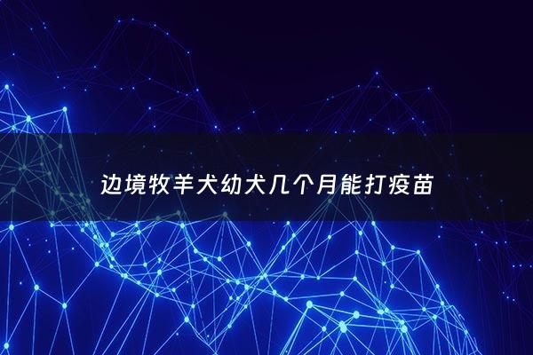 边境牧羊犬幼犬几个月能打疫苗 - 边境牧羊犬多久打一次疫苗