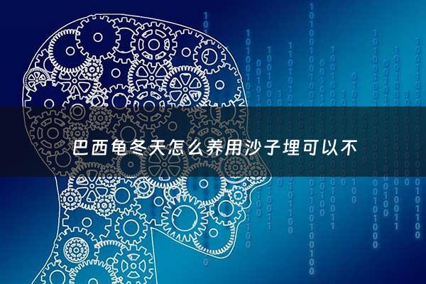 巴西龟冬天怎么养用沙子埋可以不 - 巴西龟冬天用沙子直接盖住头吗