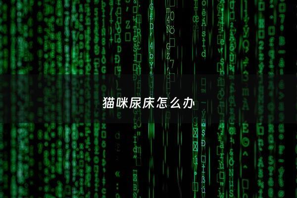 猫咪尿床怎么办 - 猫咪尿床怎么治