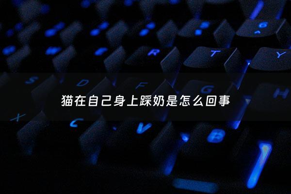 猫在自己身上踩奶是怎么回事 - 小猫咪在我身上踩奶为什么