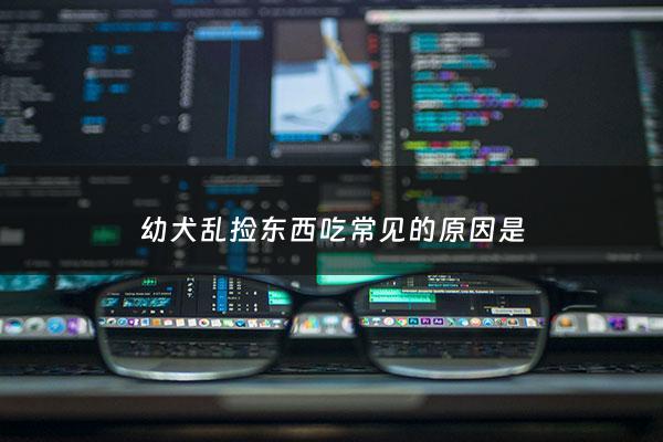 幼犬乱捡东西吃常见的原因是 - 幼犬乱捡东西吃为什么