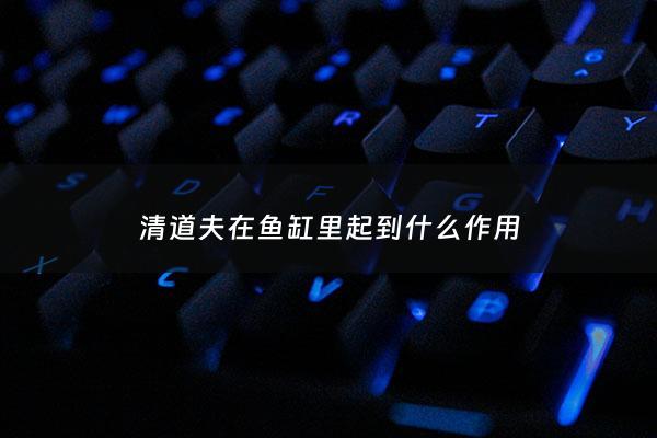 清道夫在鱼缸里起到什么作用 - 鱼缸清道夫鱼