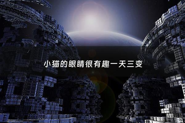 小猫的眼睛很有趣一天三变 - 小猫的眼睛在一天中是怎么变化的