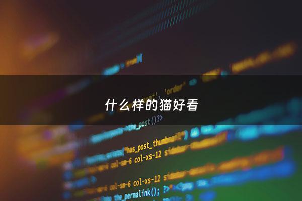 什么样的猫好看 - 什么样的猫好看又可爱