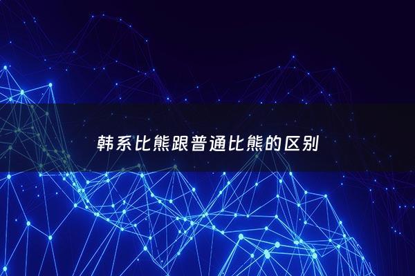 韩系比熊跟普通比熊的区别 - 韩系比熊跟普通比熊的区别图片