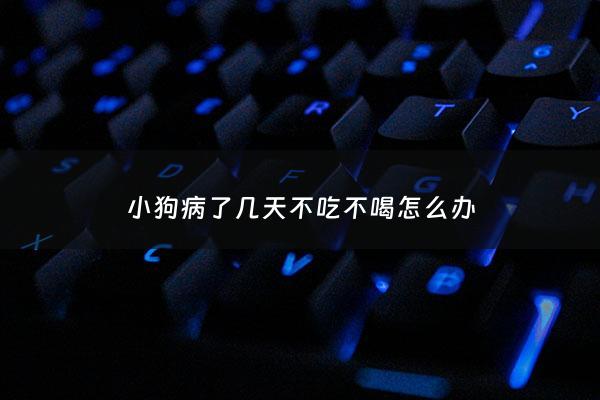 小狗病了几天不吃不喝怎么办 - 狗不吃不喝可以自愈吗
