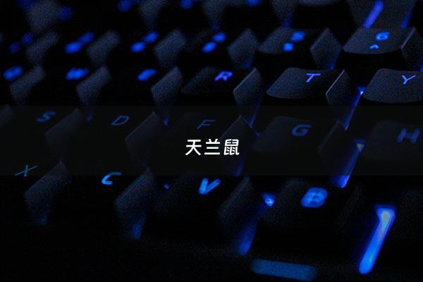 天兰鼠 - 天竺鼠车车