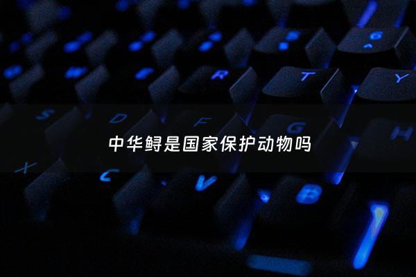中华鲟是***保护动物吗 - 中华鲟属于保护动物吗?