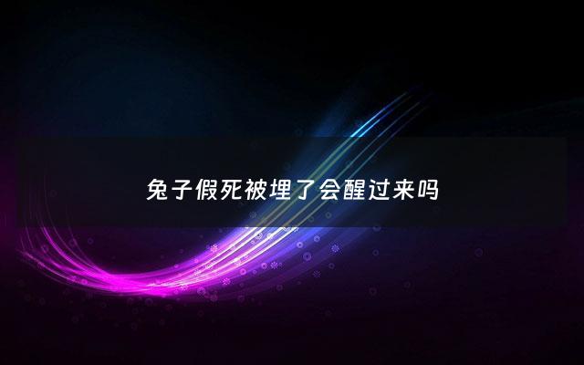 兔子假死被埋了会醒过来吗 - 兔子假死状态会僵硬吗