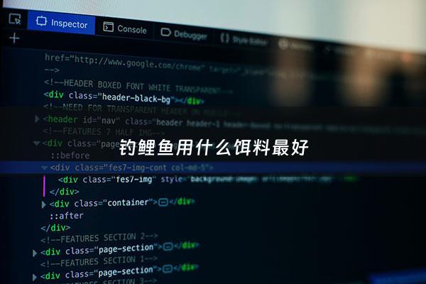 钓鲤鱼用什么饵料最好 - 钓鲤鱼用什么饵料最好野钓