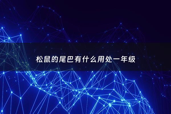 松鼠的尾巴有什么用处一年级 - 松鼠的尾巴的作用一年级