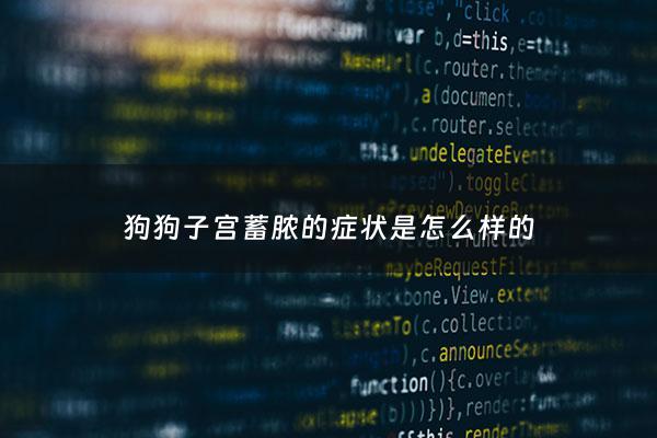 狗狗子宫蓄脓的症状是怎么样的 - 狗狗子宫蓄脓的症状是怎么样的图片