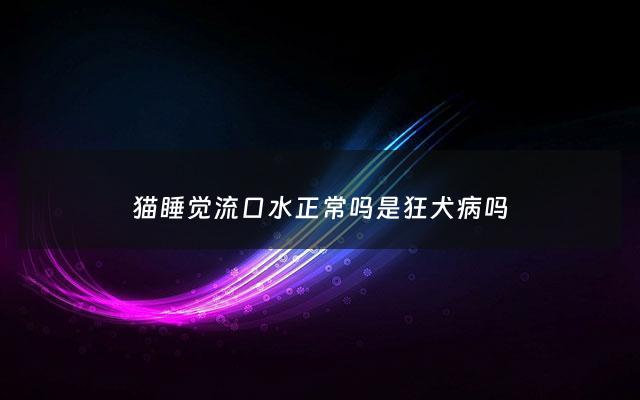 猫睡觉流口水正常吗是狂犬病吗 - 猫睡觉流口水正常吗是狂犬病吗图片