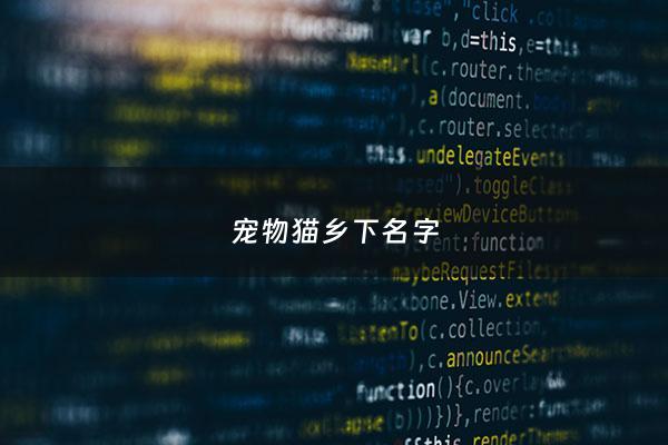 宠物猫乡下名字 - 农村猫咪名字