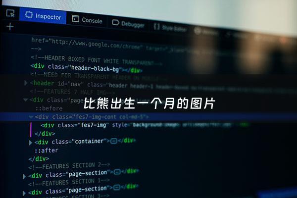 比熊出生一个月的图片 - 比熊***一个月的照片