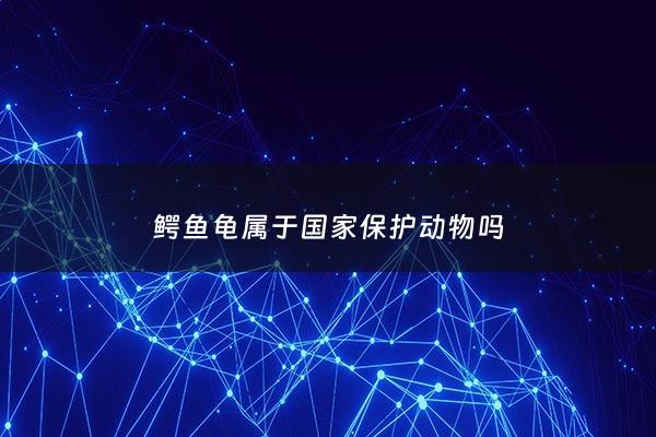 鳄鱼龟属于***保护动物吗 - 鳄龟是否属于保护动物