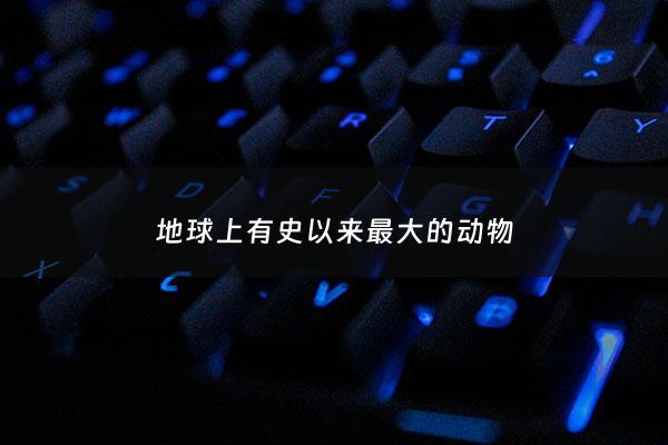 地球上有史以来最大的动物 - 地球***最大的动物