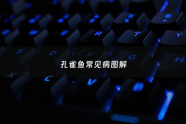 孔雀鱼常见病图解 - 孔雀鱼各种病症图片