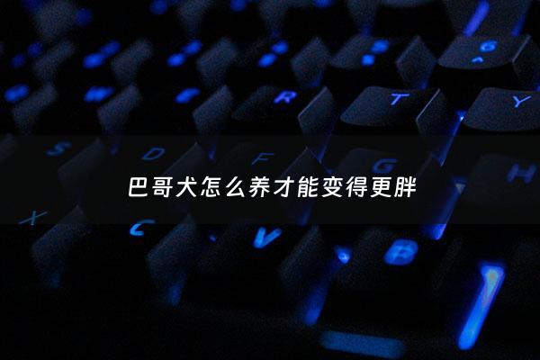 巴哥犬怎么养才能变得更胖 - 巴哥犬怎么喂食