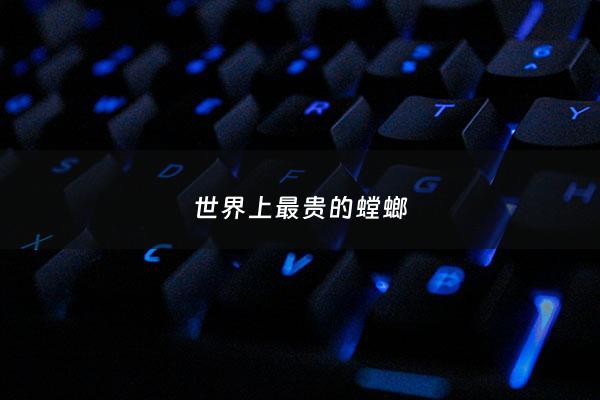 世界上最贵的螳螂 - 世界上最贵的螳螂长什么样